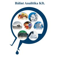 Bálint Analitika Kft.